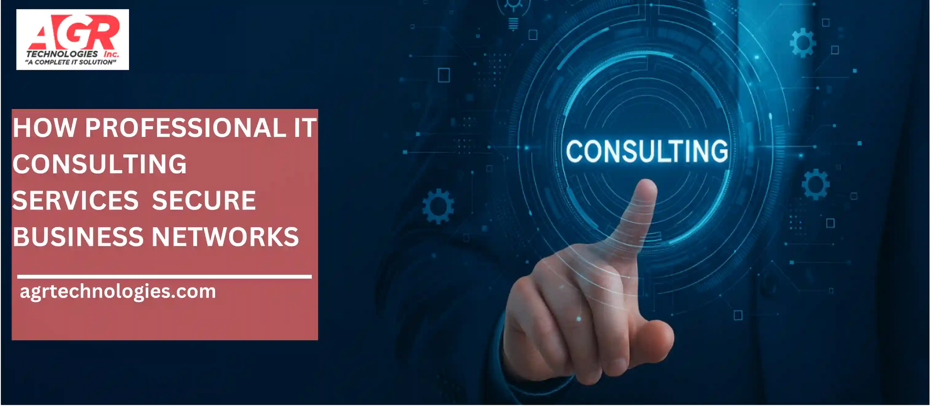 professional IT Consulting Services